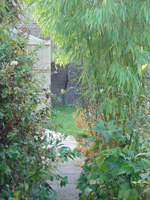 The Garden